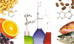 quimica 2011